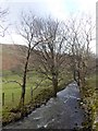 Tree-lined course of Grisedale Beck