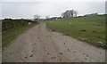 The road to Hollingley Farm, Denton