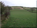 Grazing east off Beestonley Road