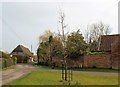 The Trafalgar Oak, Frampton on Severn