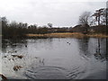 NO4033 : Trottick Pond by Douglas Nelson