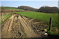 Field near Cargentle