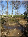 Ford near Coombekeale