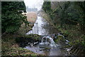 Towthorpe Beck near Londesborough