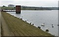 SP8365 : Sywell Reservoir dam and valve tower by Rob Farrow