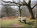 Bench, above Holford