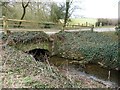 SP8364 : Overflow stream flowing under Washbrook Lane by Rob Farrow