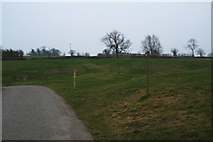 SK6623 : Earthworks in field of Longcliff Hill, Old Dalby by Chris
