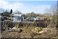 Allotments by the railway line