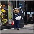 Help for Heroes collector on New George Street, Plymouth