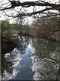 TM2281 : River off Mill Lane by Geographer
