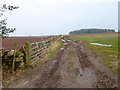 Farm track and field boundary above Roundthorn