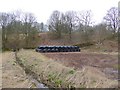 Bales stored below Coatsgill Wood