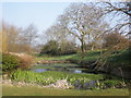 Pond at Tuxwell Farm