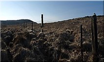 NR9063 : Fence on moorland above Lagganroaig, Kintyre, Argyll by Claire Pegrum