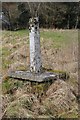 SO1834 : Remains of a cross Llanelieu churchyard by Philip Halling