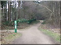 Cycle trail junction, Culloden Plantation