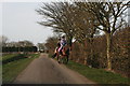 Colourful horses: riding out from Field Farm Equestrian Centre in Ember Lane