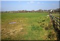 Field near  North Petherwin