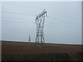 Farmland and pylon