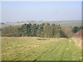 View down to Slip Plantation