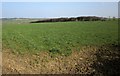 Field near Trossell