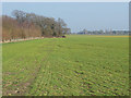 TQ0757 : Farmland on Wisley airfield by Alan Hunt