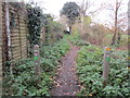 Footpath adjacent to Langmeads Field