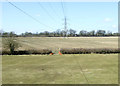 Farmland and power lines