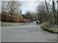 Nesfield Road - viewed from Old Lodge Hill