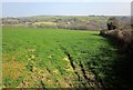 Towards the Canworthy Water valley