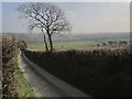 Lane to the Canworthy Water valley