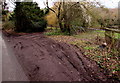 SO5528 : Muddy passing place alongside a minor road near Ruxton by Jaggery
