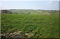 Field near Nether Scarsick