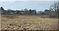 Rough grassland by the railway line