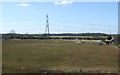 Farmland, Elm Farm