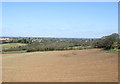 Farmland near Winterbourne