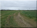 Farm track towards Keddington Grange