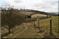 Along the edge of Woodale Plantation, Yorkshire Wolds Way