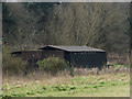 Shed beside the River Wey