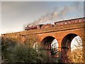 SD8110 : The Last Train to Bury by David Dixon