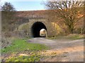 Tunnel under ELR Embankment near Waterfold