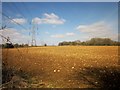 Field and pylon, Upper Coberley