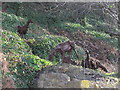NZ2463 : Goats, Pipewellgate, NE8 by Mike Quinn