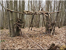 TQ5452 : Woodland den, Chestnut Wood by David Anstiss