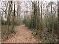 Permissive Bridleway in Sevenoaks Common