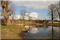 Ornamental Pond