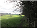 Footpath to Old Edlington beside Edlington Plantation