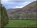 SH8918 : The Dovey valley by Llanymawddwy by Nigel Brown