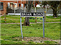 Briar Road sign